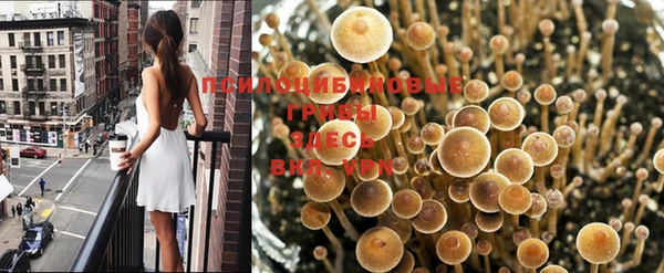 каннабис Болотное