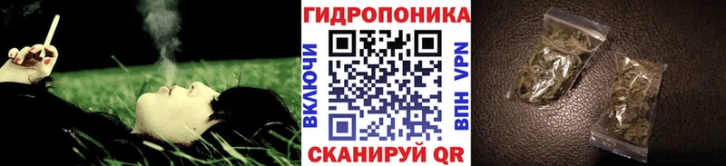 Шишки марихуана White Widow  блэк спрут ССЫЛКА  Гусиноозёрск 